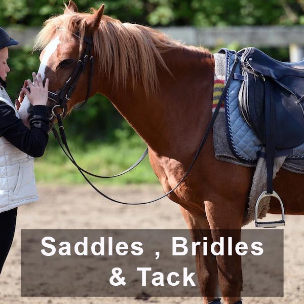 Saddle And Bridle - Saddle & Bridle is proud to congratulate the 2021  Saddle & Bridle Senior Pleasure Equitation Medallion National Champion,  Laney Lonchar on Far Away Garfield! This team is coached
